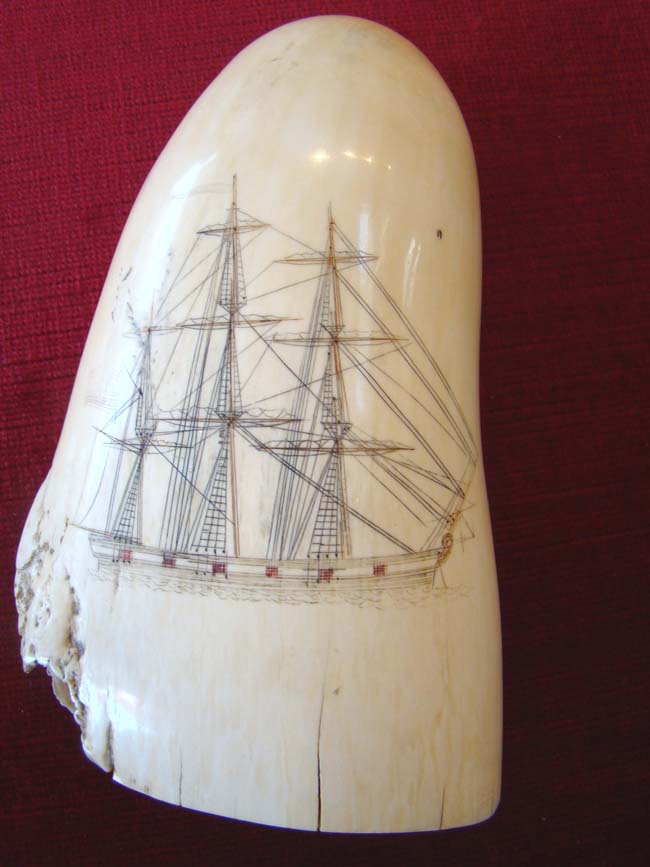 A fine polycrome Scrimshaw whale's tooth depicting a three-masted warship circa 1850